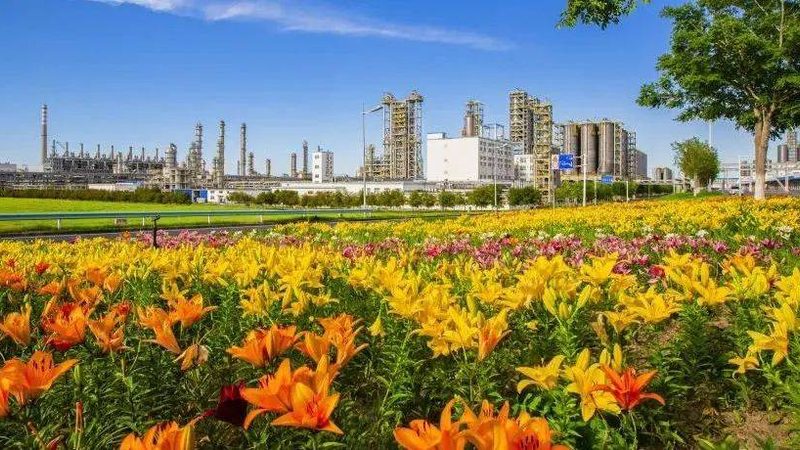 耐高温工程塑料：揭秘其价格背后的价值