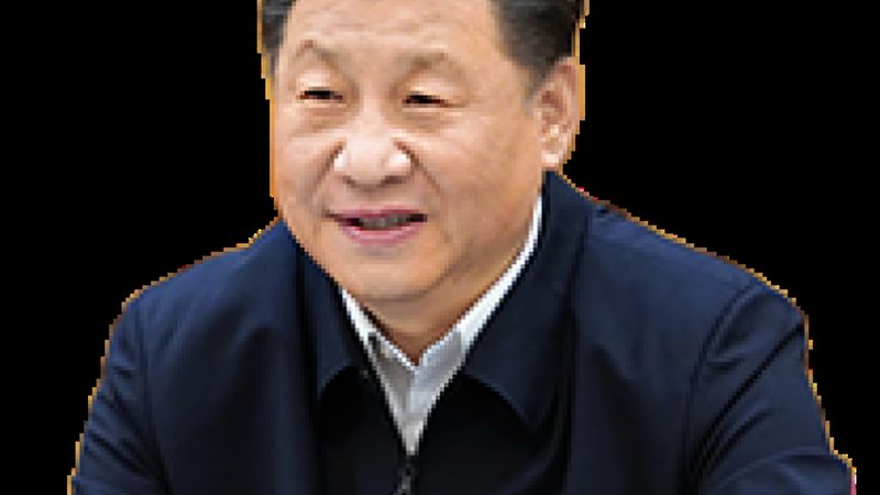 白色母粒：塑造色彩的化工新材料解析